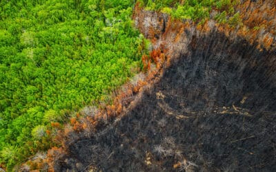 Climat : de la création du GIEC à aujourd’hui, l’urgence perdure