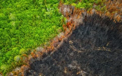 Climat : de la création du GIEC à aujourd’hui, l’urgence perdure 