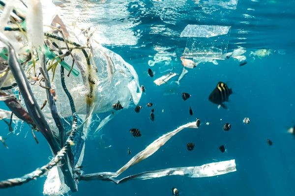 Visuel un Monstre de plastique